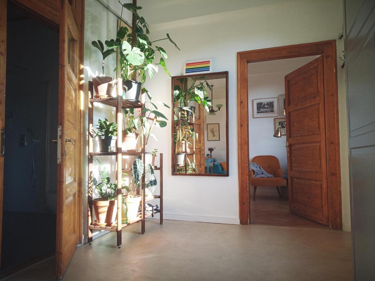 Good Mornings Apartment Κλουζ-Ναπόκα Εξωτερικό φωτογραφία