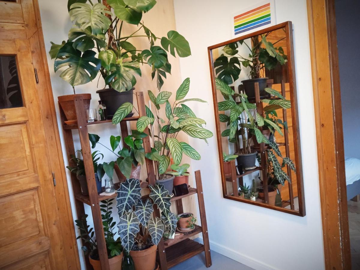 Good Mornings Apartment Κλουζ-Ναπόκα Εξωτερικό φωτογραφία
