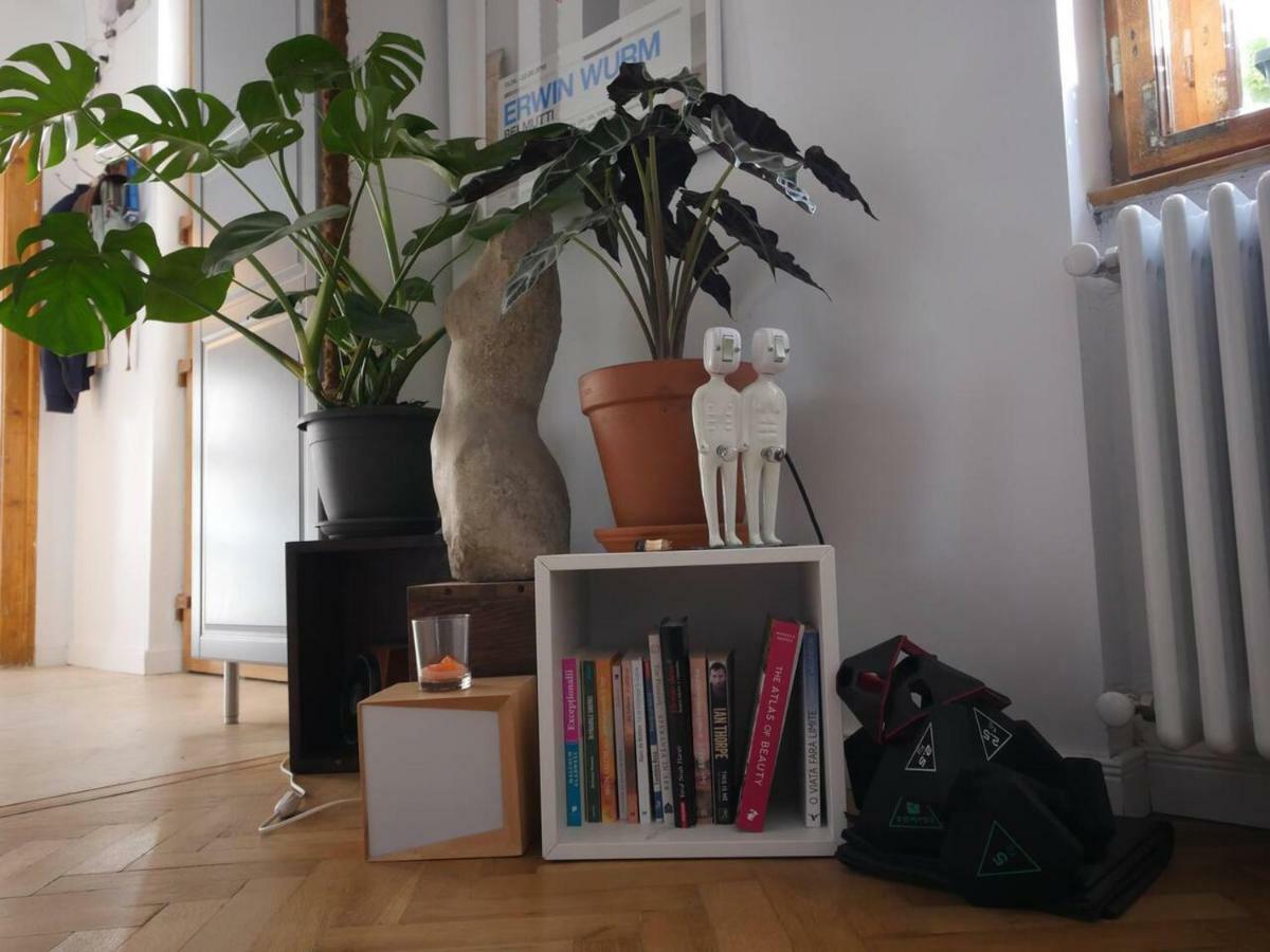 Good Mornings Apartment Κλουζ-Ναπόκα Εξωτερικό φωτογραφία